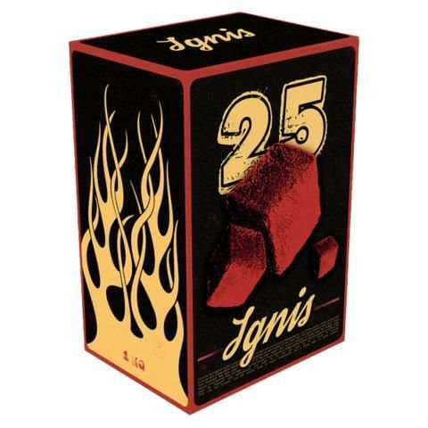Кокосове вугілля IGNIS 1кг HJ1KG фото